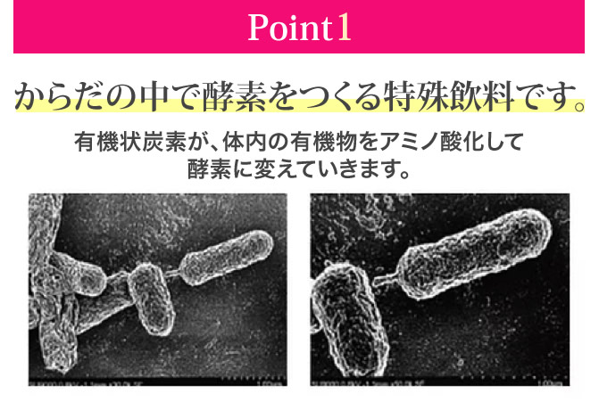 からだの中で酵素をつくる特殊飲料です。有機状炭素が、体内の有機物をアミノ酸化して酵素に変えていきます。