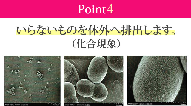 いらないものを体外へ排出します。（化合現象）