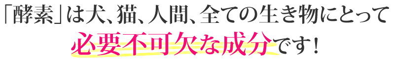 「酵素」は犬、猫、人間、全ての生き物にとって必要不可欠な成分です！