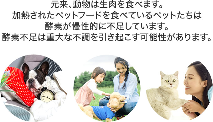 元来、動物は生肉を食べます。加熱されたペットフードを食べているペットたちは酵素が慢性的に不足しています。酵素不足は重大な不調を引き起こす可能性があります。